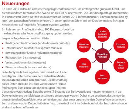 AnaCredit BearingPoint Schaubild