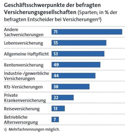 Quelle: Steria Mummert Consulting und F.A.Z.-Institut