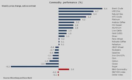 Saxo Bank Commodities Rohstoffe