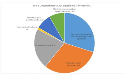 Umfrage zur aktuellen Nutzung digitaler Plattformen