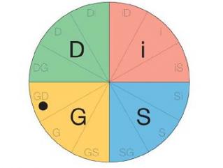 Beispiel eines DiSG-Kreisdiagramms zur Erstinformation